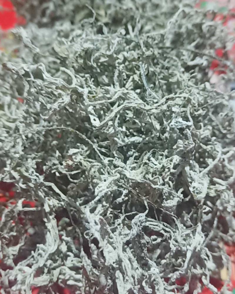 自产自消农家货