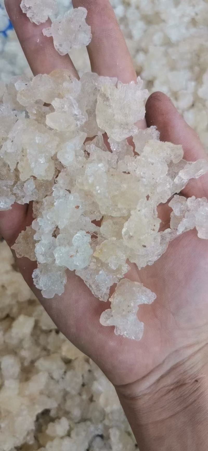 3A雪燕现货6000公斤