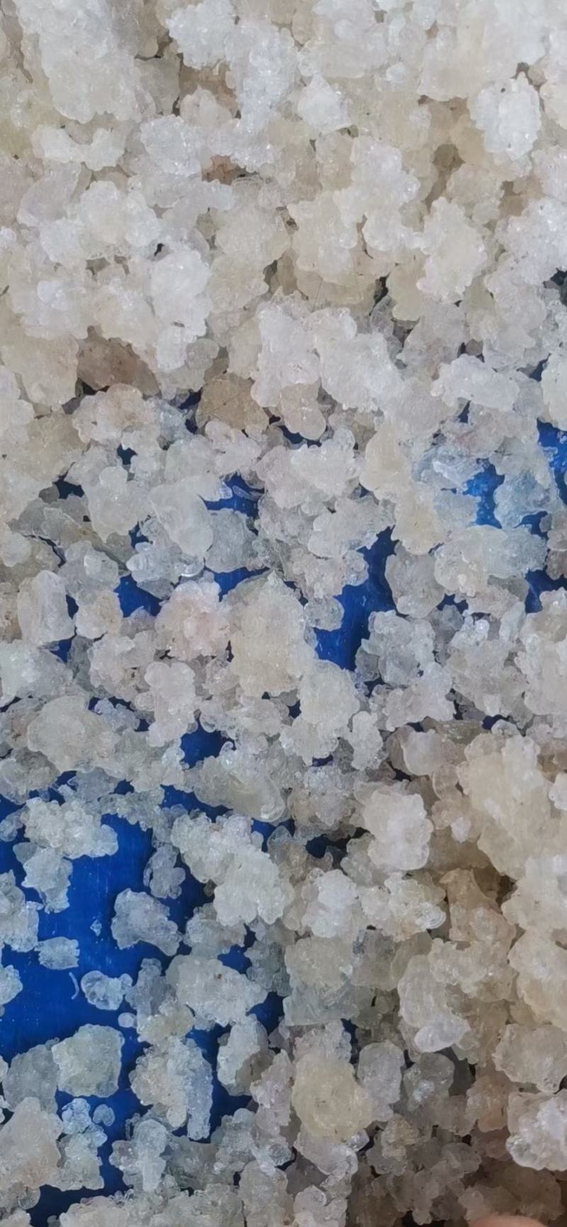 3A雪燕现货6000公斤
