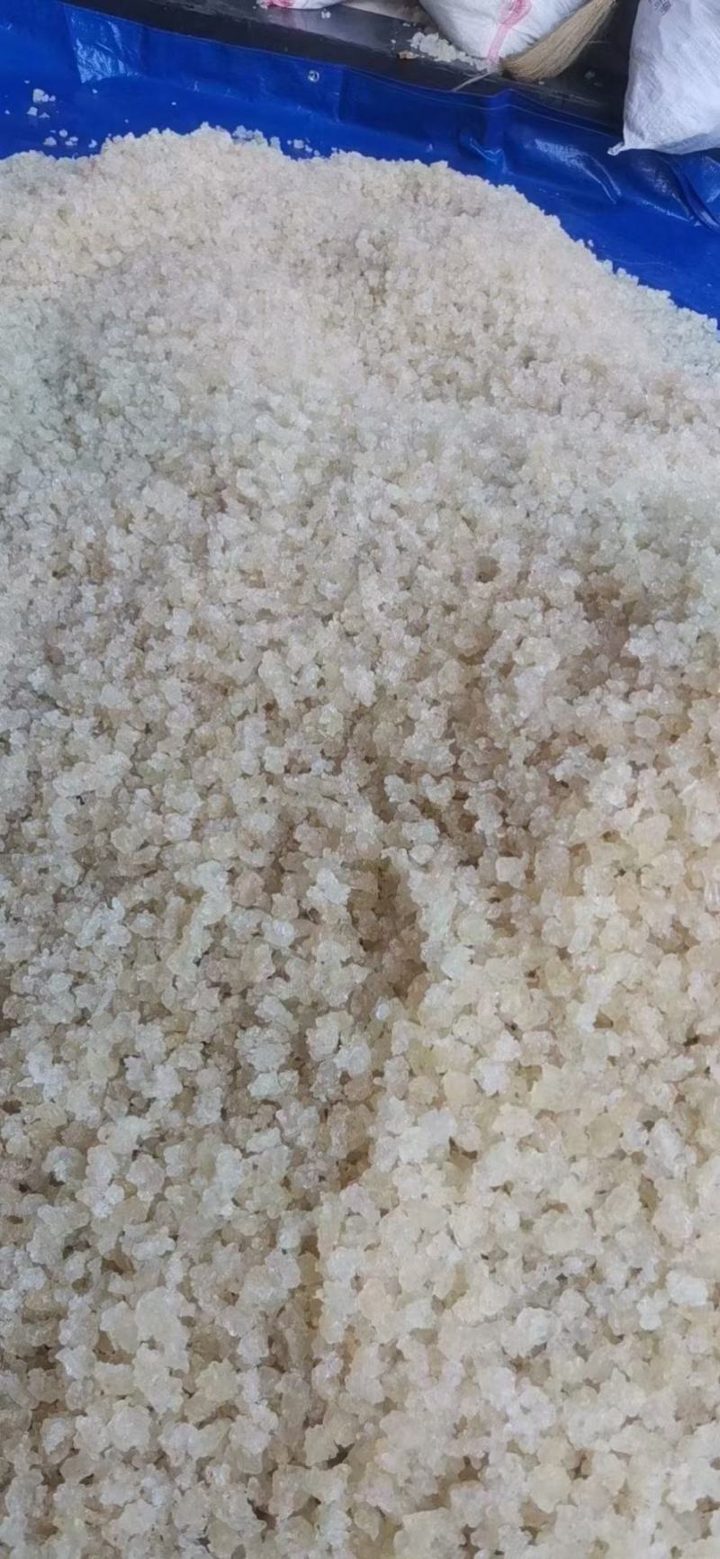 3A雪燕现货6000公斤