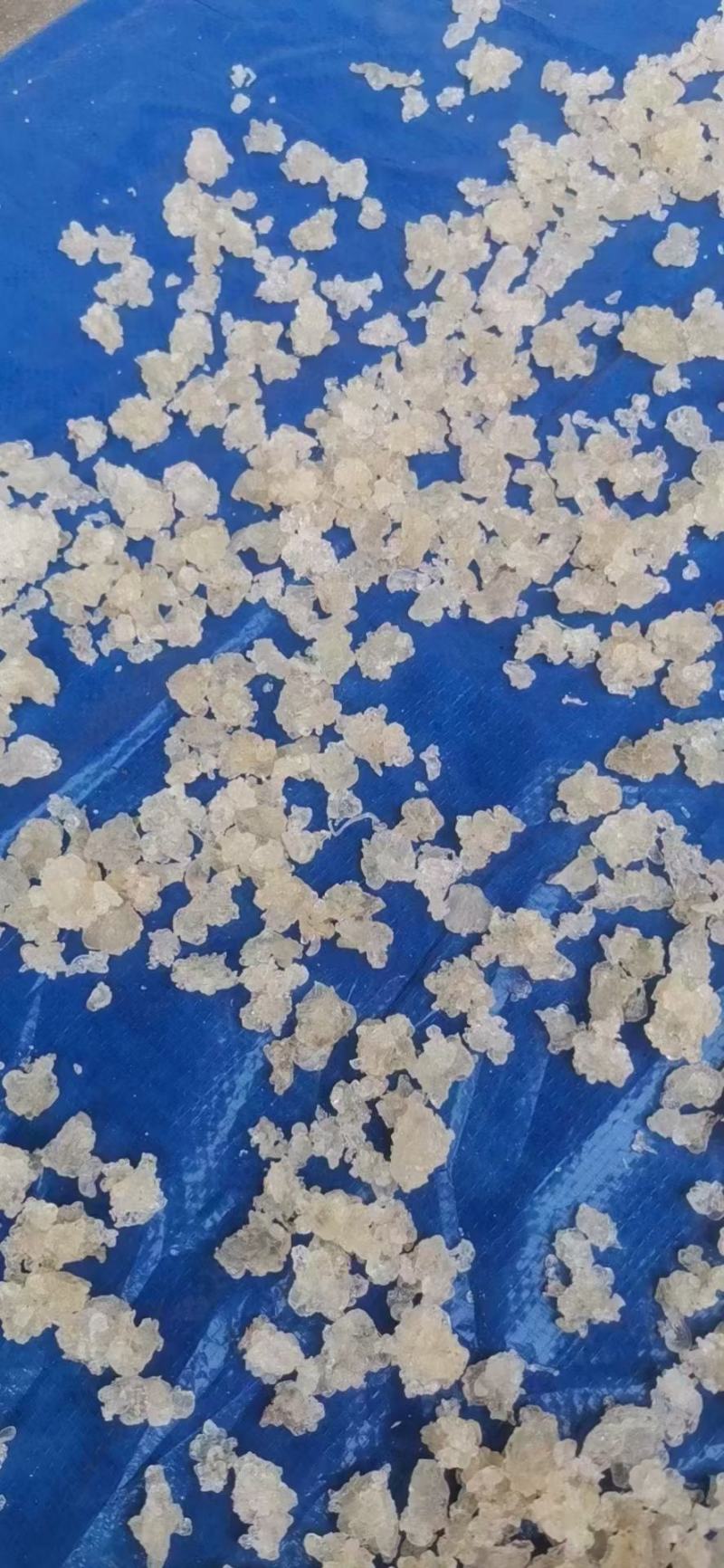 3A雪燕现货6000公斤