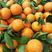 夏橙产地大量上市啦，火爆销售中，皮薄肉厚，果面干净，靓货
