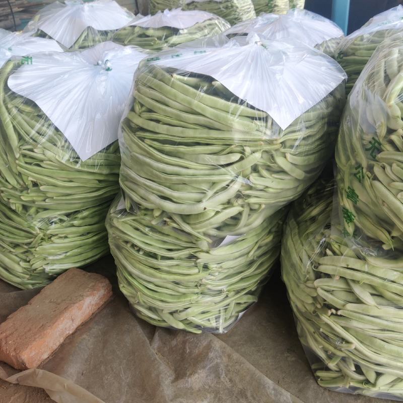 白不老，九粒白，大棚货，