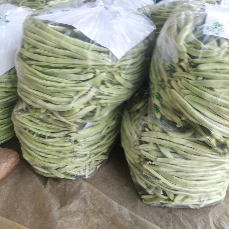 白不老，九粒白，大棚货，