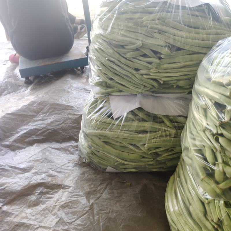 白不老，九粒白，大棚货，