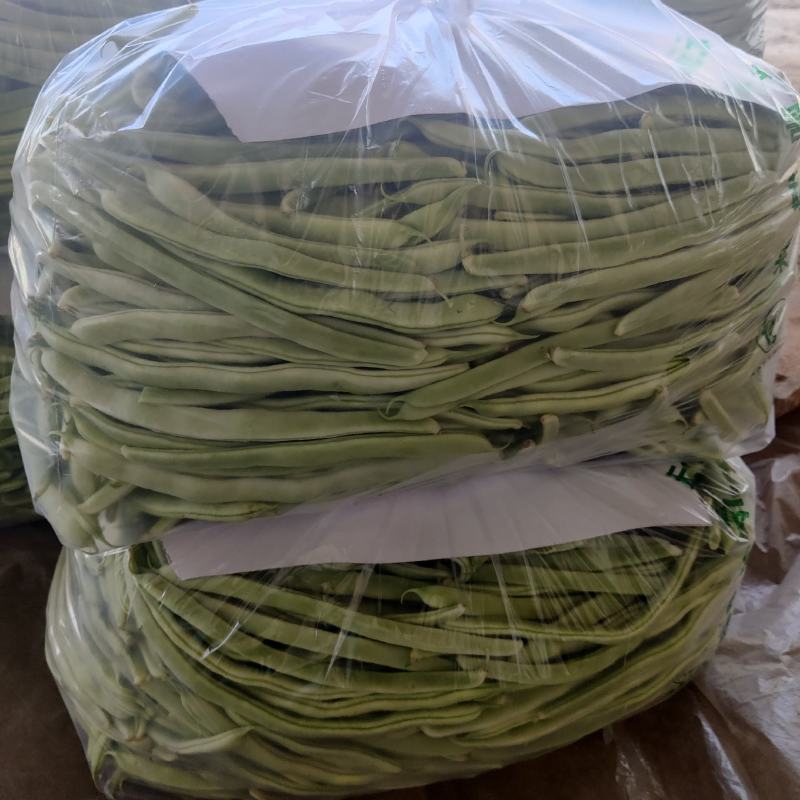 白不老，九粒白，大棚货，