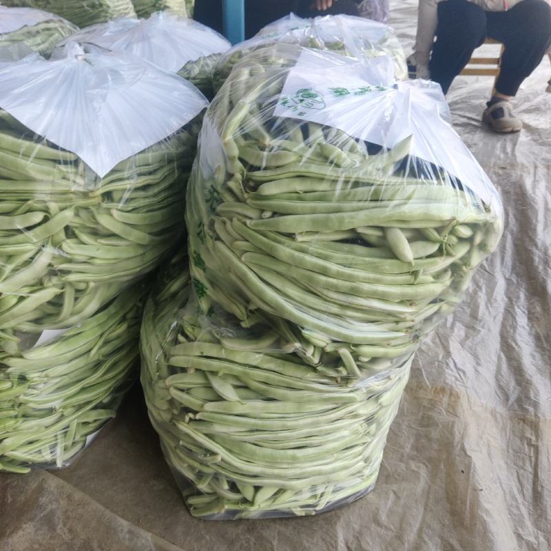 白不老，九粒白，大棚货，