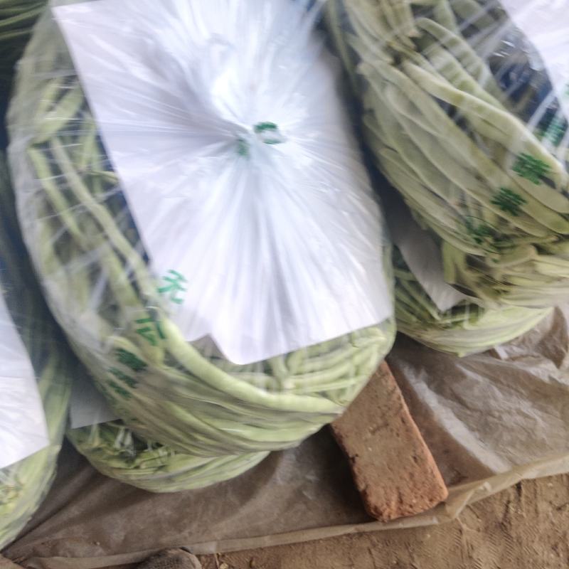 白不老，九粒白，大棚货，