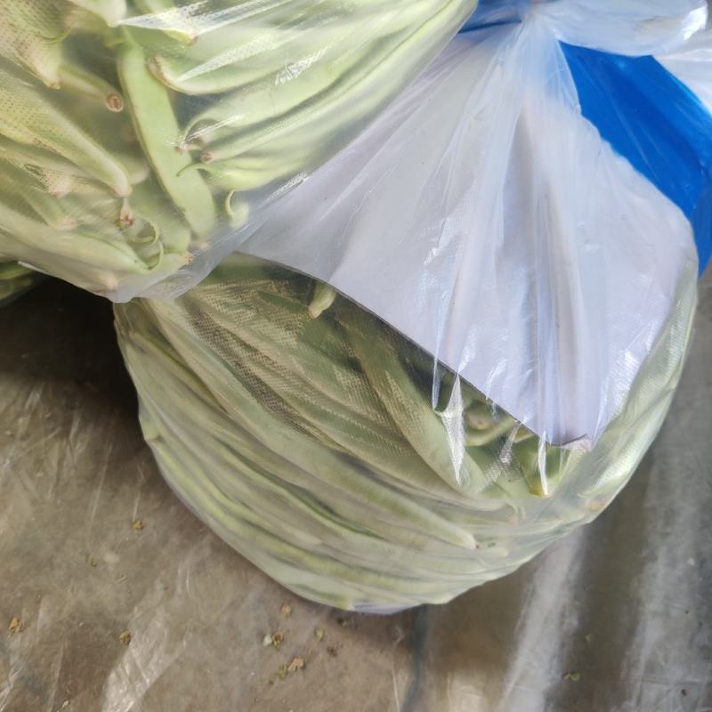 白不老，九粒白，大棚货，