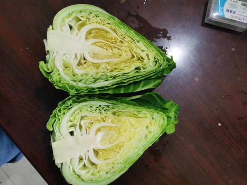 杭州萧山区尖包牛心菜甘蓝牛心菜每个500克到1500克