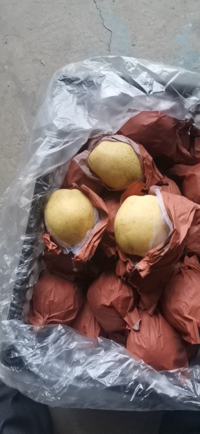 批发苹果