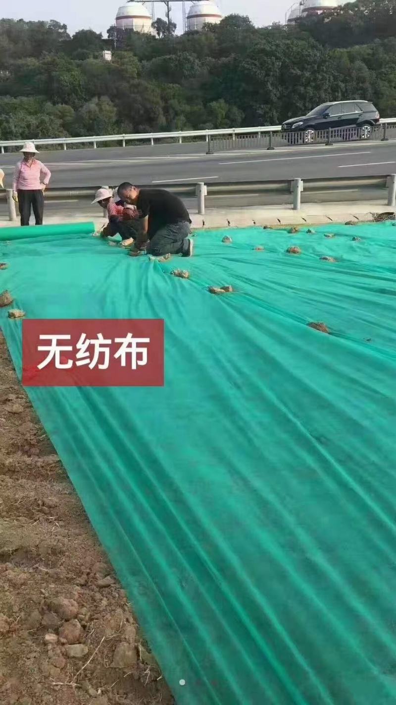 无纺布蔬菜防寒保温无纺布草坪覆盖无纺布育苗育秧无纺布
