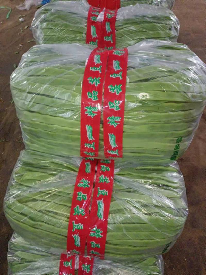 精品豆王豆角，颜色深绿，粗细均匀，保质保量欢迎咨询