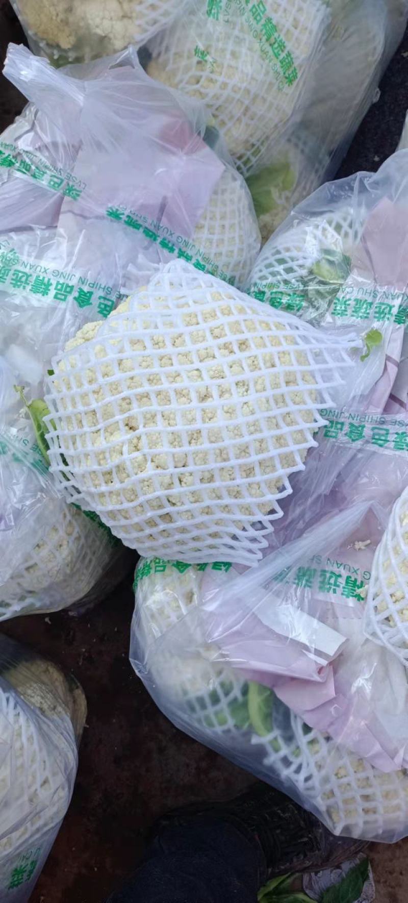 基地直采，可供新疆，内蒙，东北，山西，陕西大市场，超市