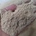 专业小麦细麸皮
