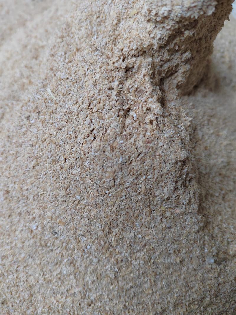 专业小麦细麸皮