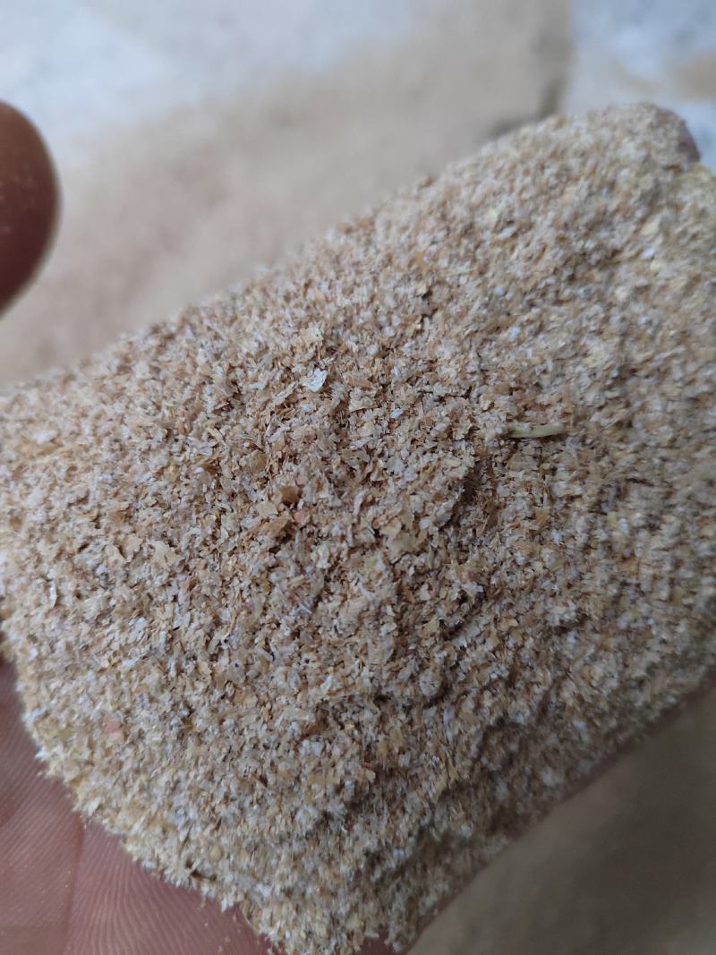 专业小麦细麸皮