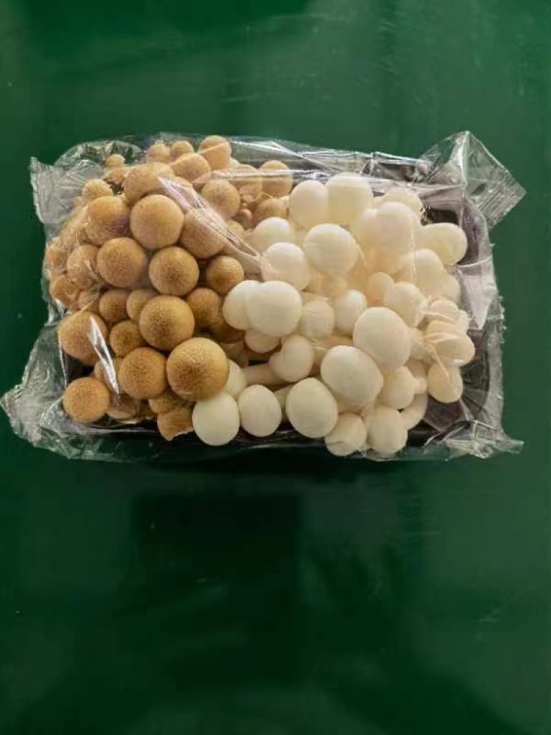 蔬菜礼包，崇明本地蔬菜，新鲜蔬菜上海蔬菜礼包