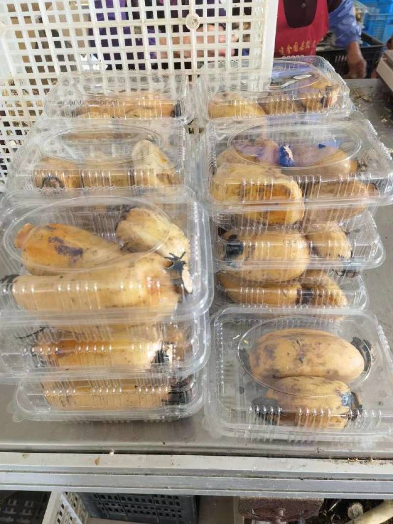 蔬菜礼包，崇明本地蔬菜，新鲜蔬菜上海蔬菜礼包