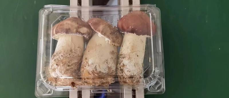 蔬菜礼包，崇明本地蔬菜，新鲜蔬菜上海蔬菜礼包