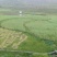 山泉水冷水田种出的油菜籽