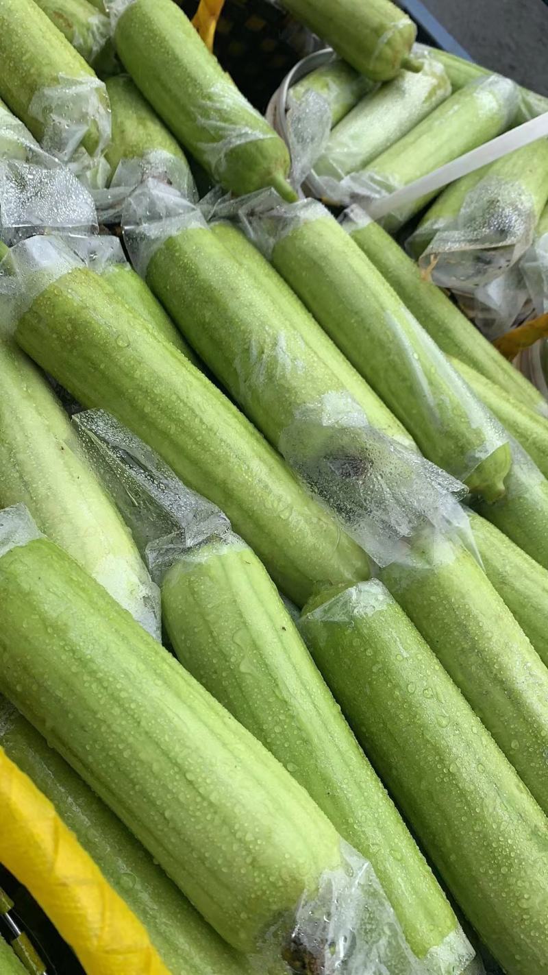 徐闻县基地精品白玉丝瓜，诚信经营，全国代发。