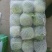 优质福建漳州甘蓝，旺旺美丽现摘现卖一手货源货源充足