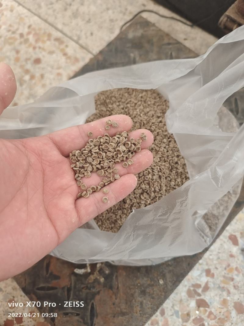 粉防己苗，杯苗和裸苗都有，自家育苗基地，保证成活率。