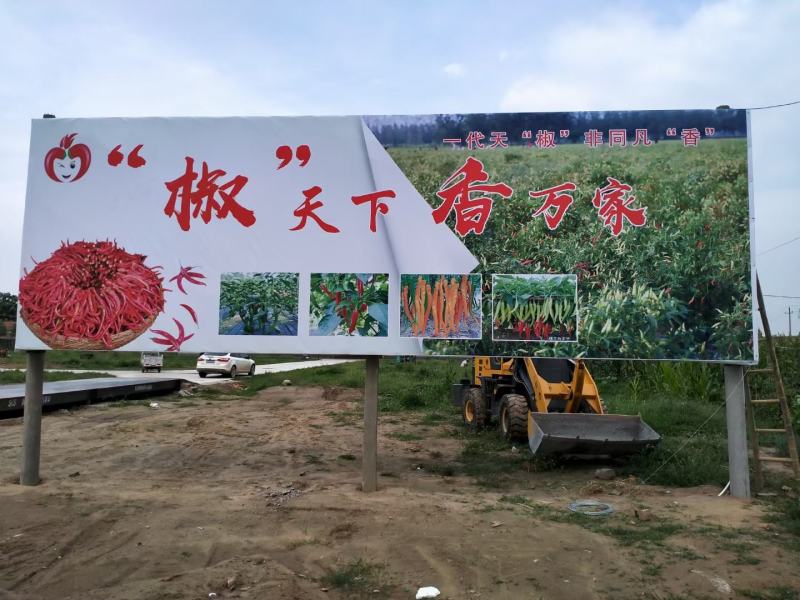 剁椒加工出售