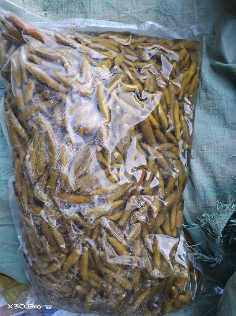 剁椒加工出售