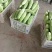 福建漳州优质白珍珠苦瓜一手货源，现摘现卖，货源充足