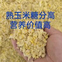 发酵熟玉米（降低饲养成本，提高免疫力，促进肠道吸收）