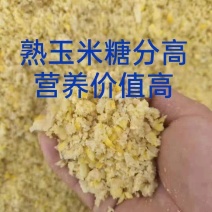 发酵熟玉米（降低饲养成本，提高免疫力，促进肠道吸收）