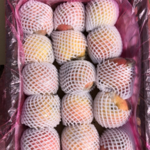 精品富士
