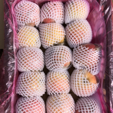 精品富士