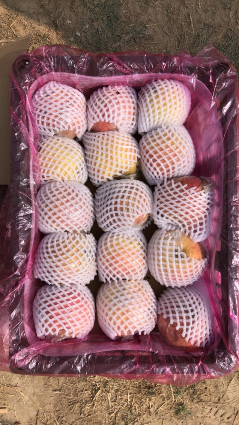精品富士