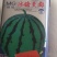 冰糖美都西瓜种子，果皮浅绿色，单果10公斤。口感好。