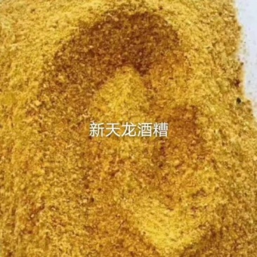 厂家直供玉米酒糟
