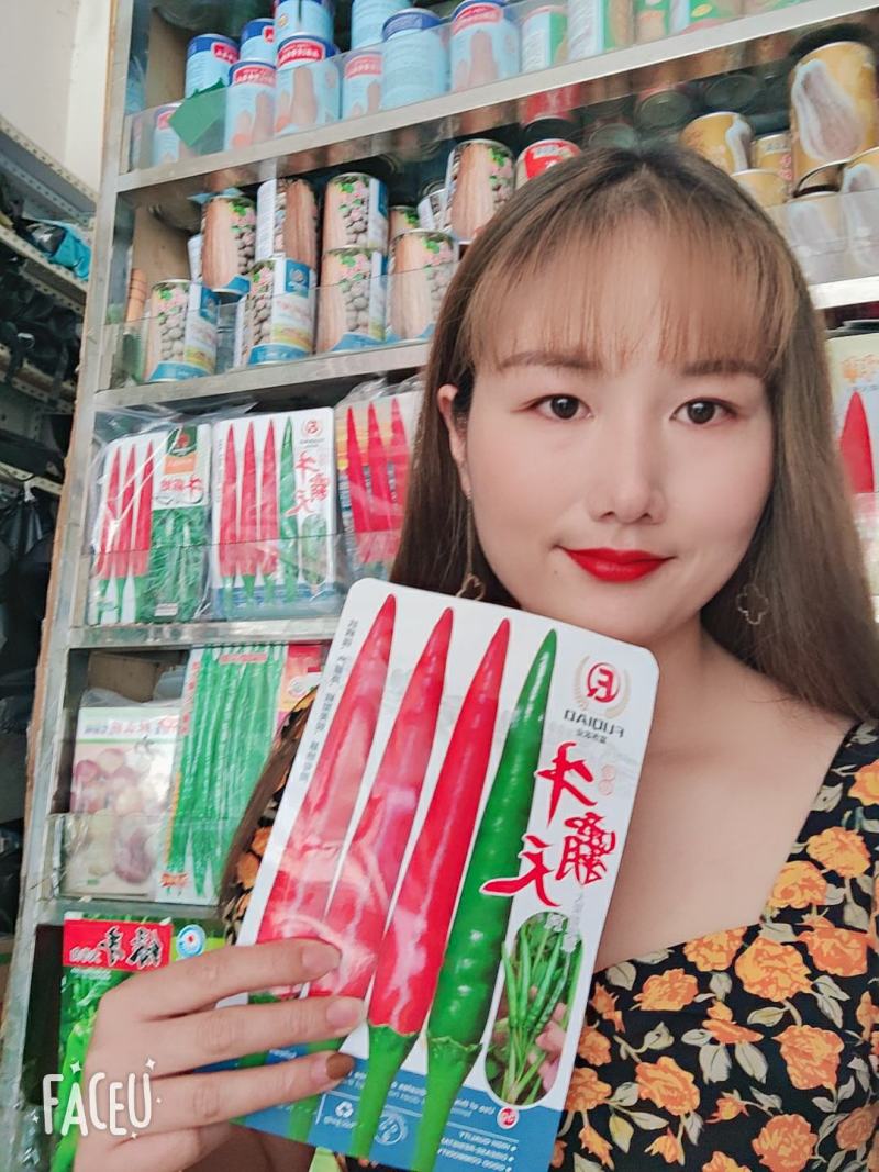 我家辣椒