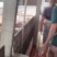 仔猪河北三元仔猪30斤猪苗价格猪场防疫到位全国发货