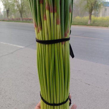 精品蒜苔