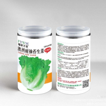 澳洲耐抽苔生菜种子，四季种植，纯度好，生长快速，