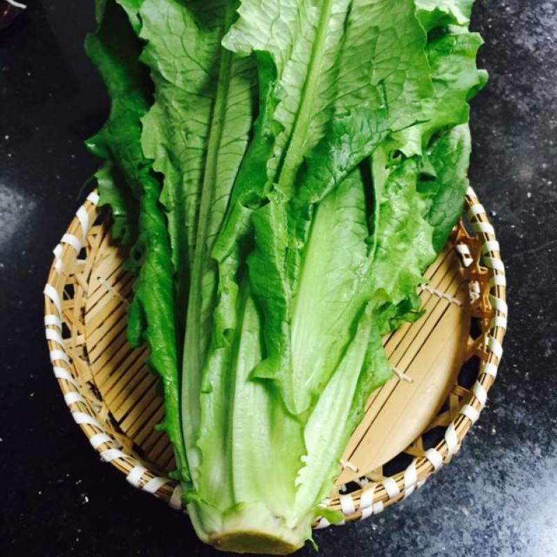 大棵型无斑香油麦菜种子，基地专用，高产好吃，