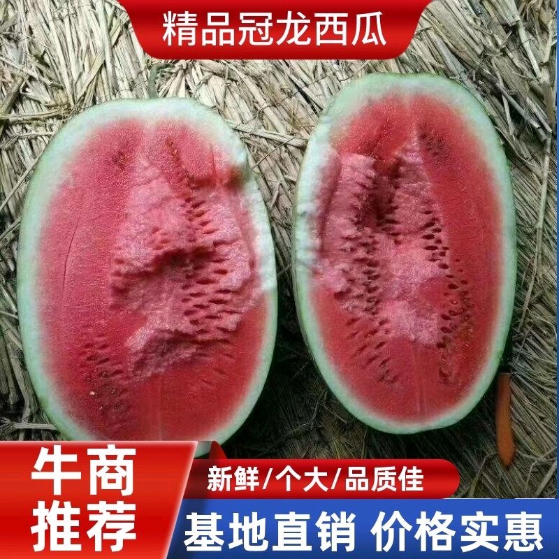 【西瓜批发】夏邑冠西瓜基地，生茬地，个头均匀，口感佳