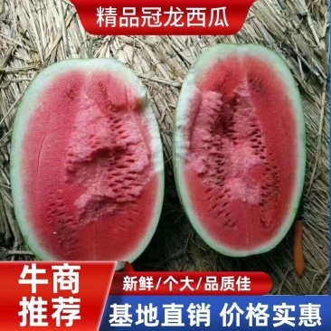【西瓜批发】夏邑冠西瓜基地，生茬地，个头均匀，口感佳