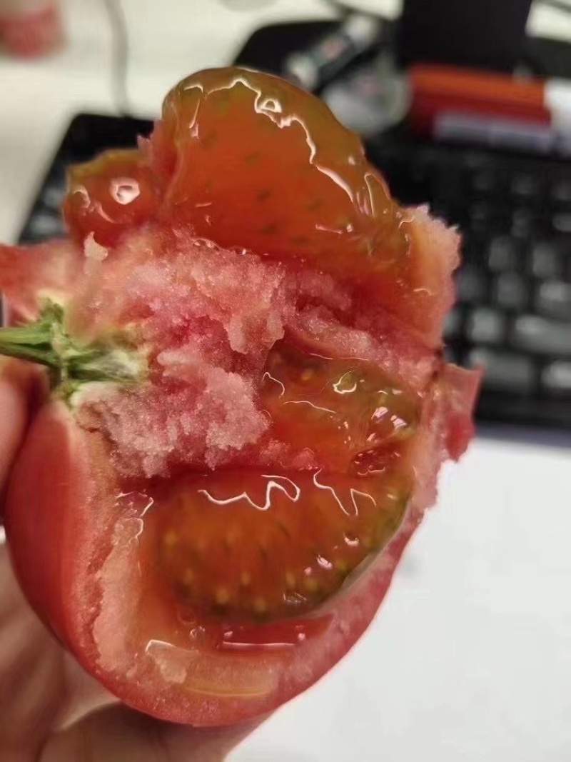 海阳普罗旺斯西红柿