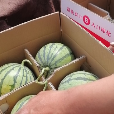 美都上市中