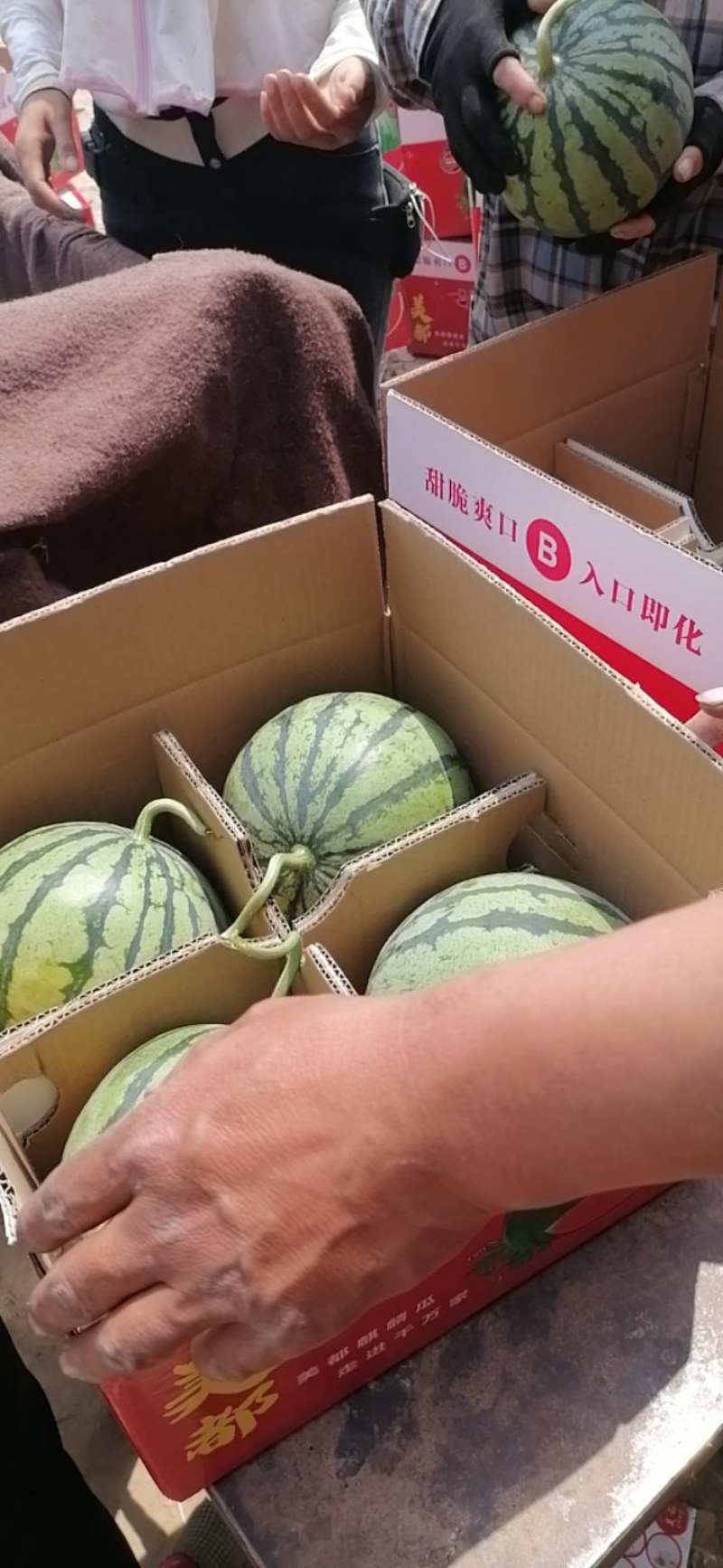 美都上市中