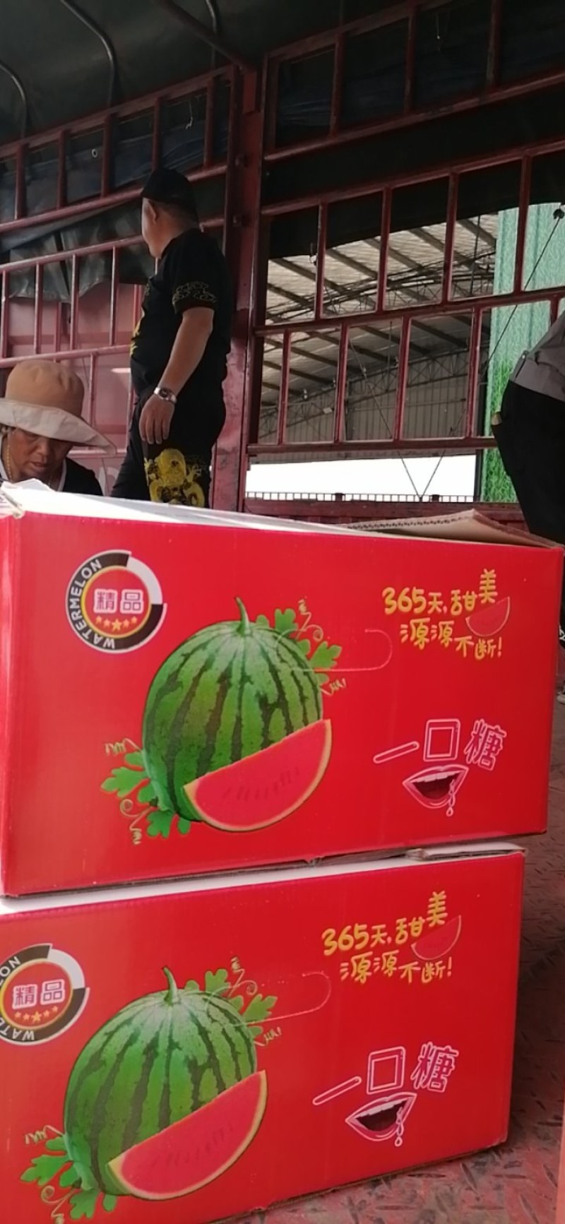 美都上市中