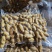 笼蒸花生煮花生卤花生厂家直一手货源跑江湖摆摊地摊展销真空
